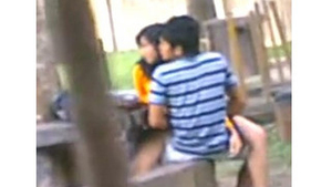 Indian students caught having sex in park by voyeur