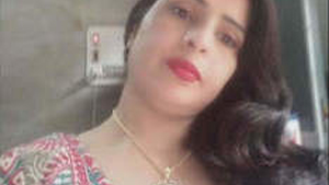 Desi auntie's steamy video of sex