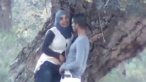 Indian couple engages in outdoor sex at park