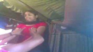 Pornographic film featuring a wife's denigration of an art lover