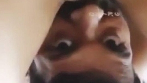 Old man enjoys oral and penetrative sex with partner