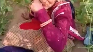 Surprised by lovers caught in the act in the wild