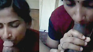 mallu babe blowjob
