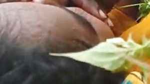 Desi Village Lover Out Door Fucking