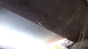 Private moment with aunty in the shower