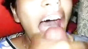 desi bhabhi in salwar suit sucking dick