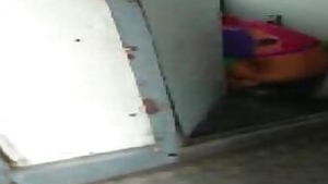 Desi Bhabhi Pees In The Train Toilet