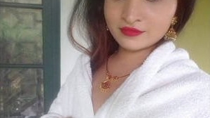 Desi bhabi with big boobs gets fucked hard