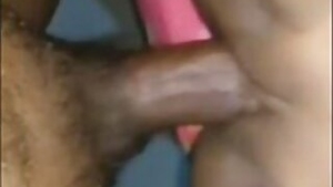 Desi village couple fucking
