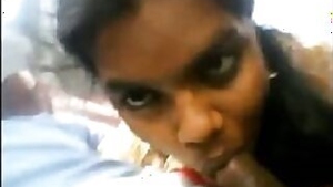 Desi Girl loves Sucking Penis Inside Moving Train