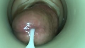 Cum Cam Man's uncensored video is not about unobstructed settling