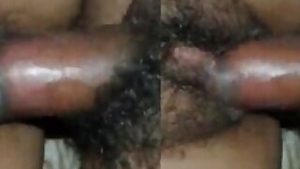 Hairy Pussy Bhabi Fucking