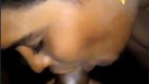 Village wife sucking lover cock