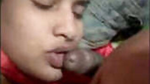 Desi Bhabhi Blowjob and Fucked
