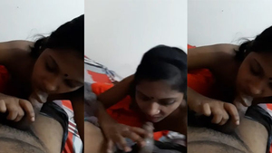 Watch a village wife from India give an expert blowjob
